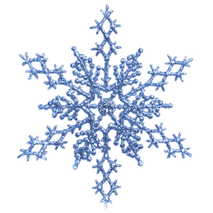 Snow-Flake-Small.png