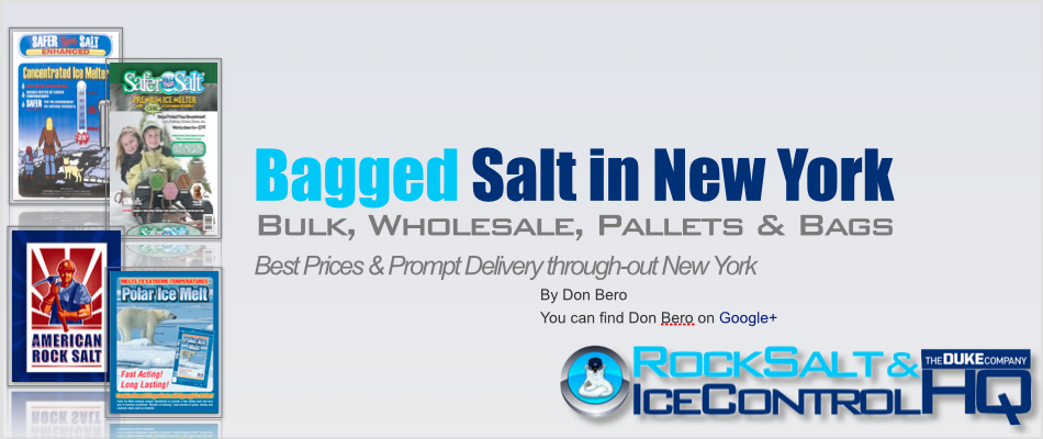 Picture of Bagged Salt in New York