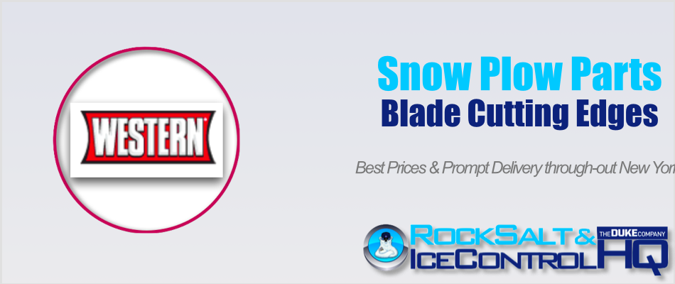 Picture of Western Pro Snow Plow Part #WP102SPL Blade Cutting Edge
